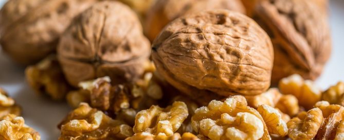 Walnuts are high in Omega 3 Oils